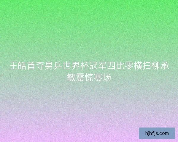 王皓首夺男乒世界杯冠军四比零横扫柳承敏震惊赛场